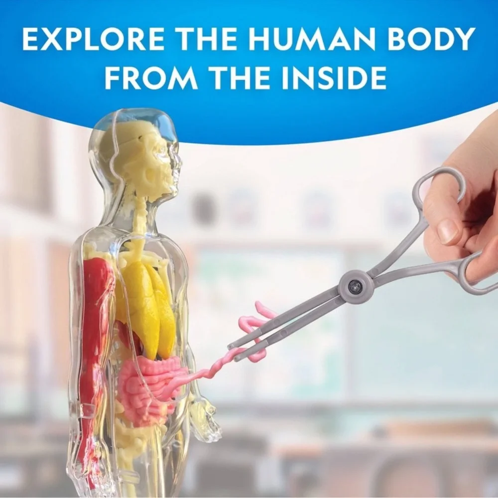 National Geographic Glow-In-The-Dark Human Body: Science Kit & Activity Guide